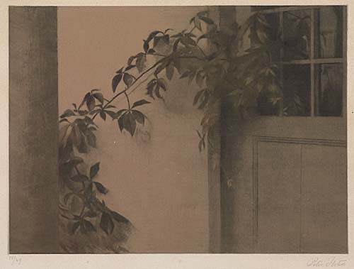 PETER ILSTED Virginia Creeper at Liselund